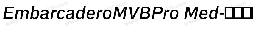 EmbarcaderoMVBPro Med字体转换